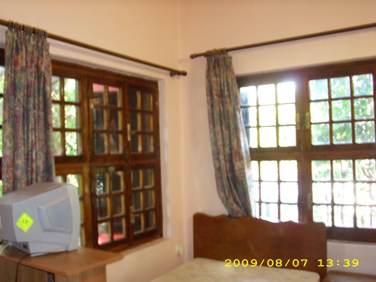 Apartment Art House Pantokratoras (Preveza)